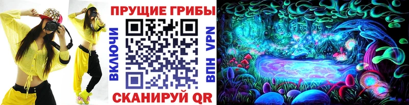 наркошоп  Лабинск  Галлюциногенные грибы MAGIC MUSHROOMS 